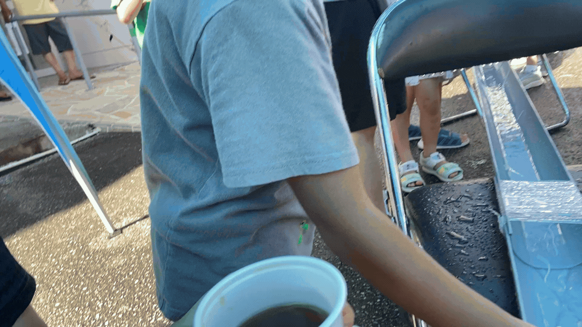 流しそうめんをすくいあげる子ども